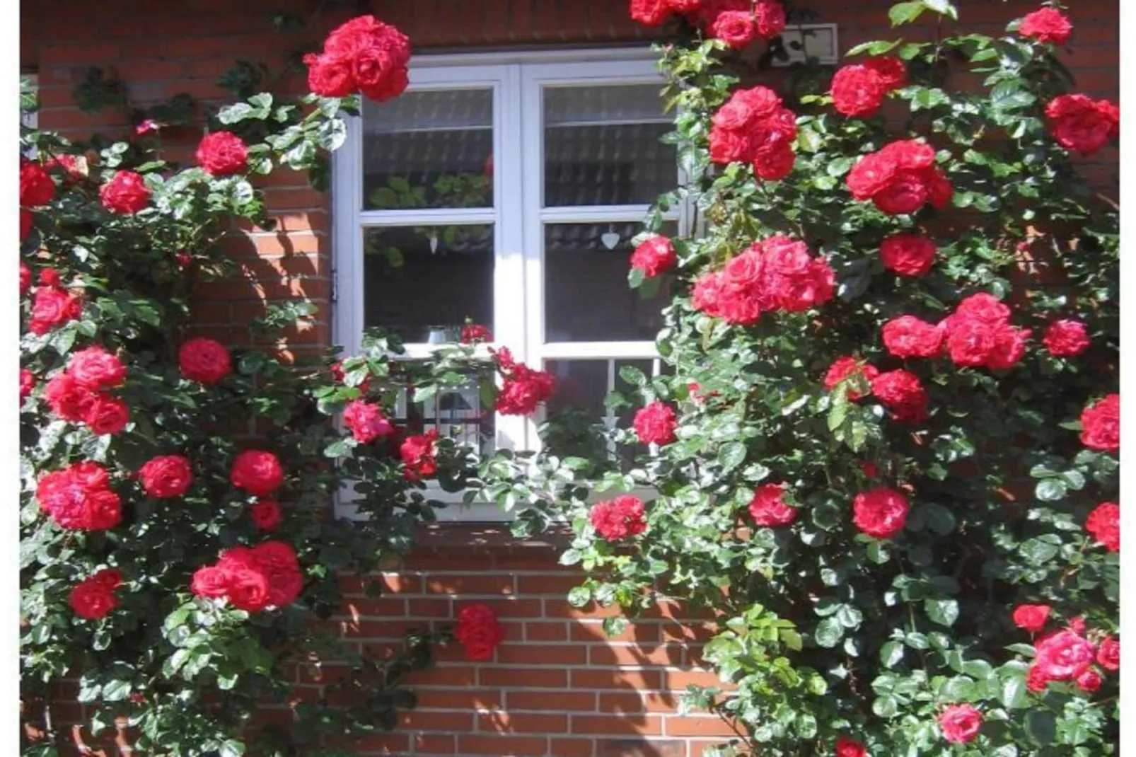 345853-Buitenkant zomer