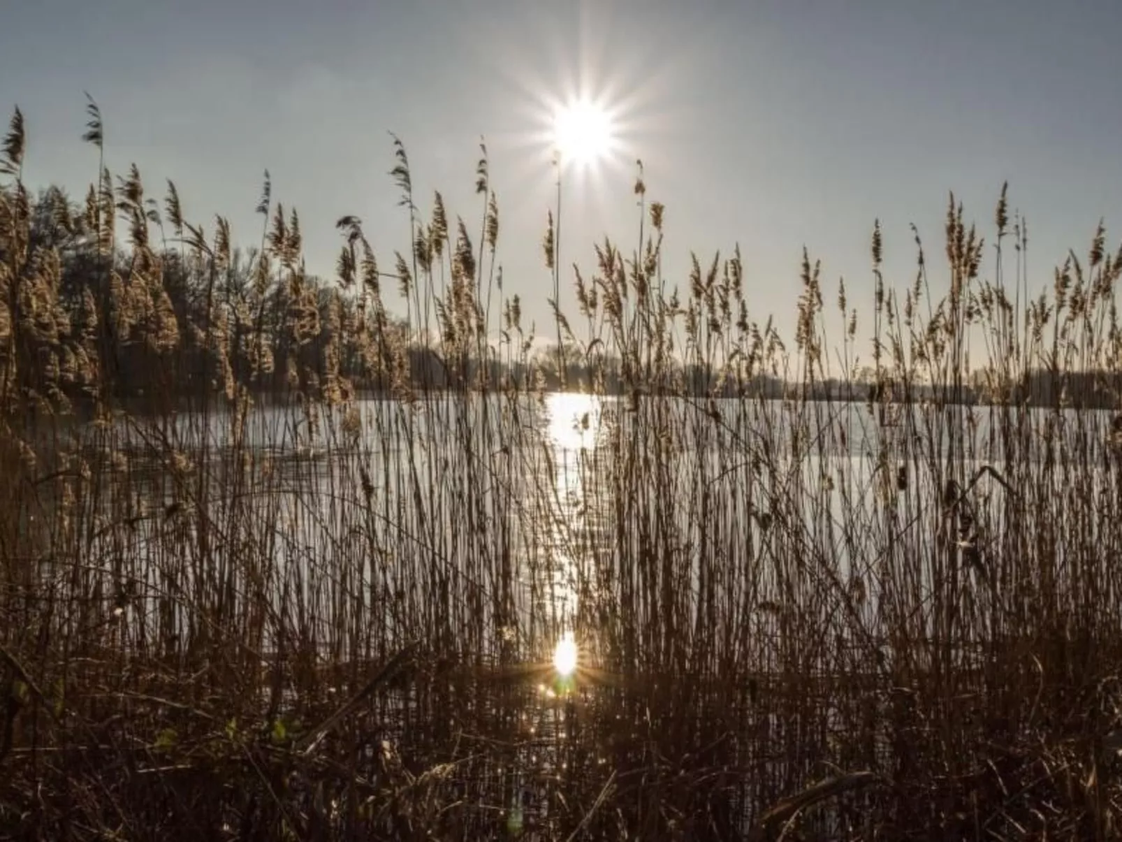 Wohnung in Niedergurig mit Grill, Sauna und Gart-Image-tags.info