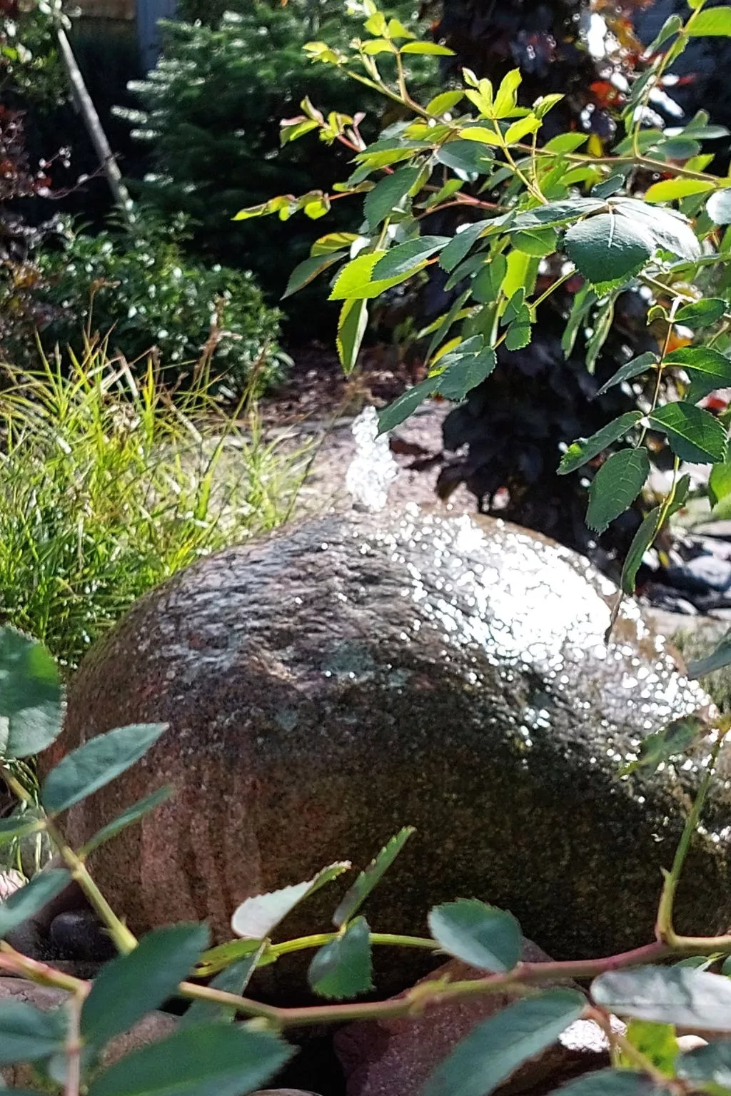 EifeLeben mit wunderschönem Garten-Buiten