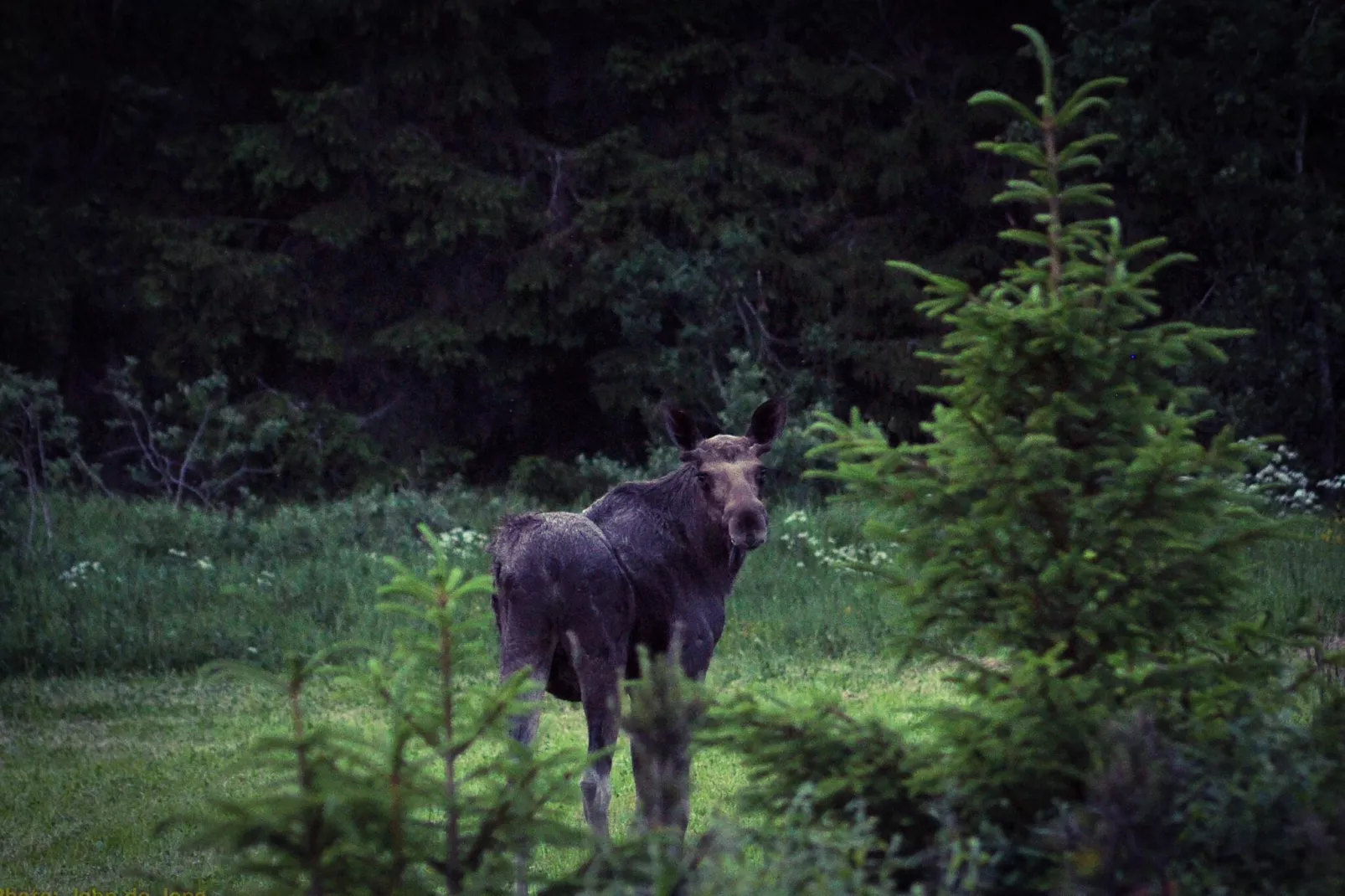 The Farm-Gebieden zomer 5km