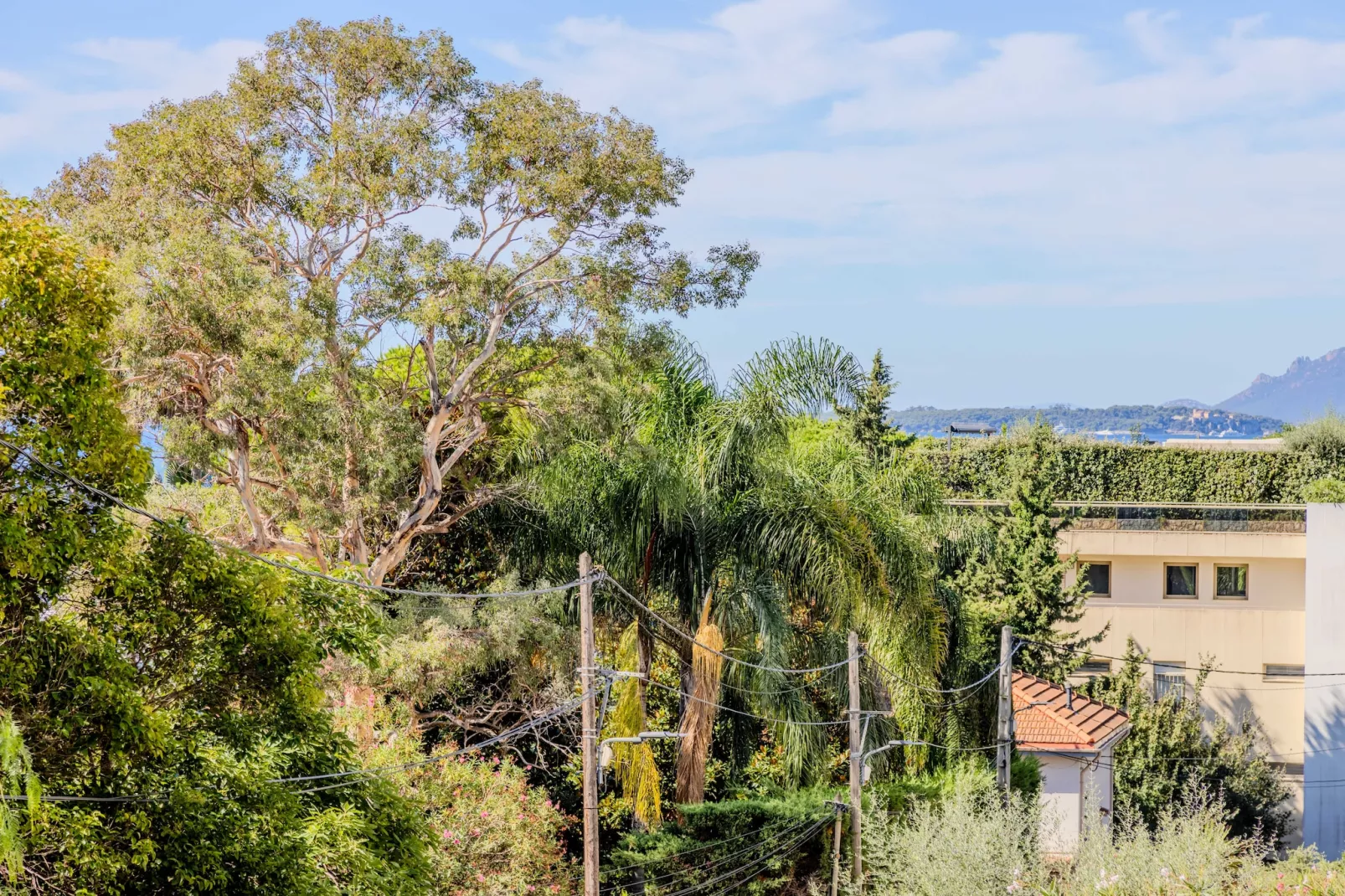 MB-2-PINS-M-Niet-getagd