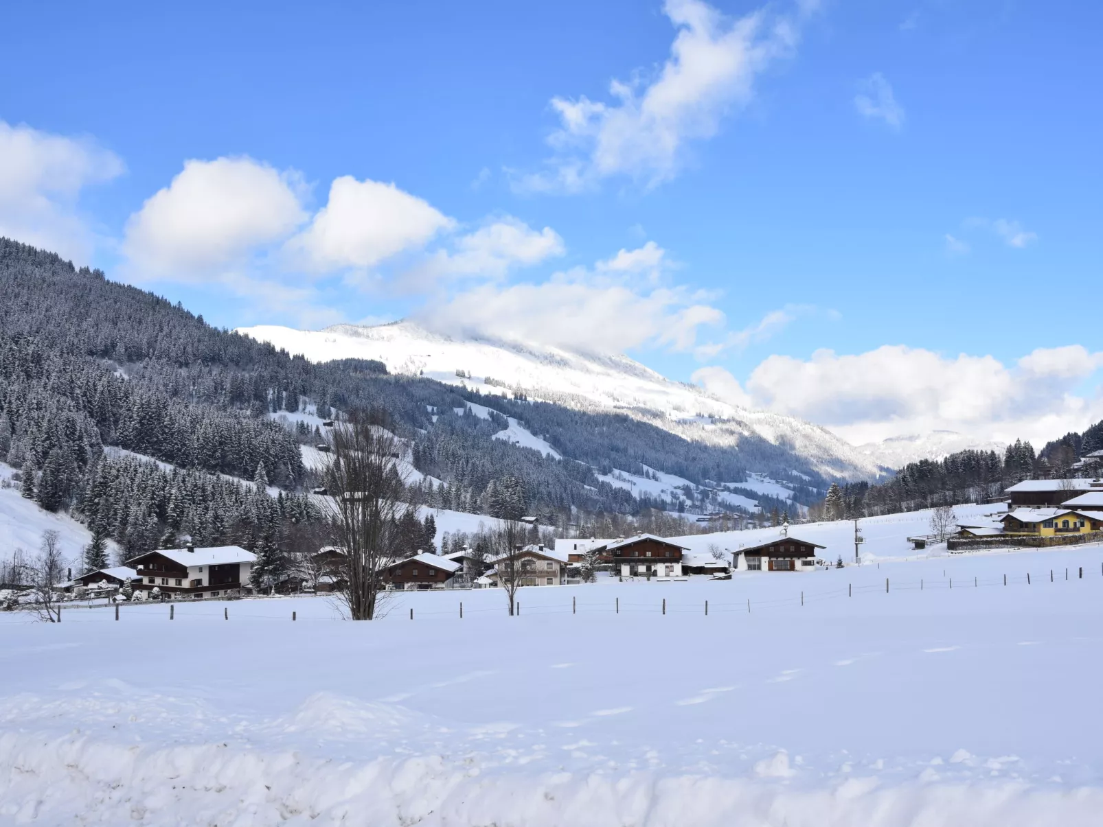 Ferienwohnung Daxer - Buiten