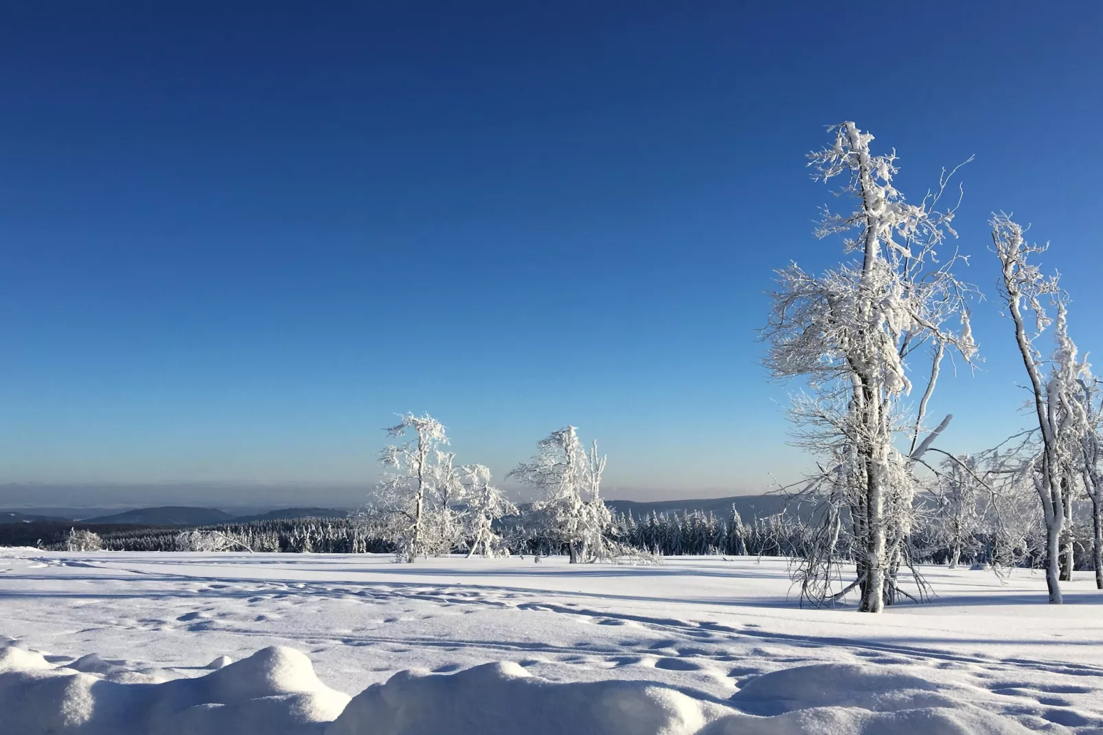 Casa Brocktega in Bestwig - Gebied winter 1km