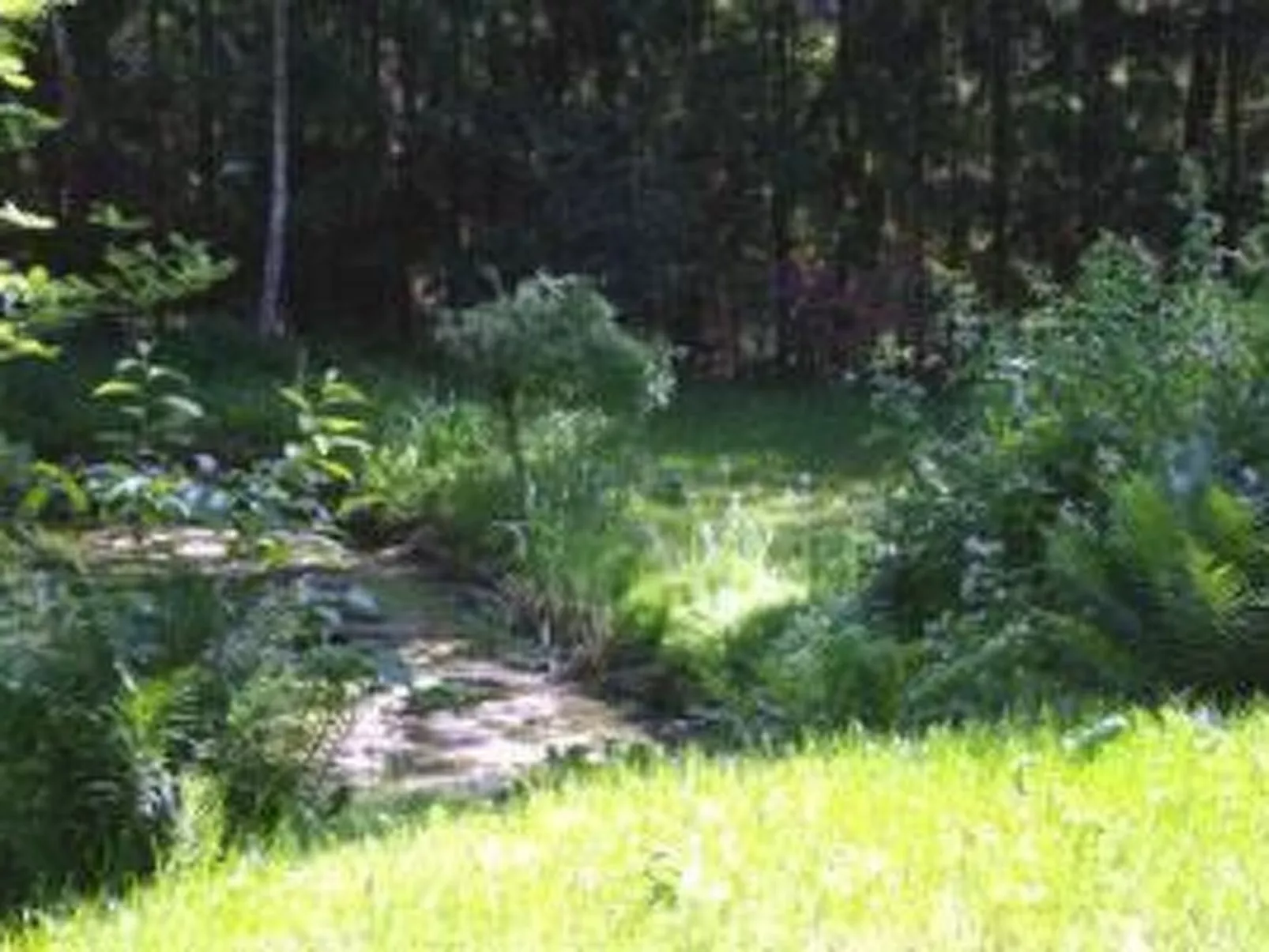 Große Ferienwohnung in Bleckede mit Großem Balkon - Image-tags.info