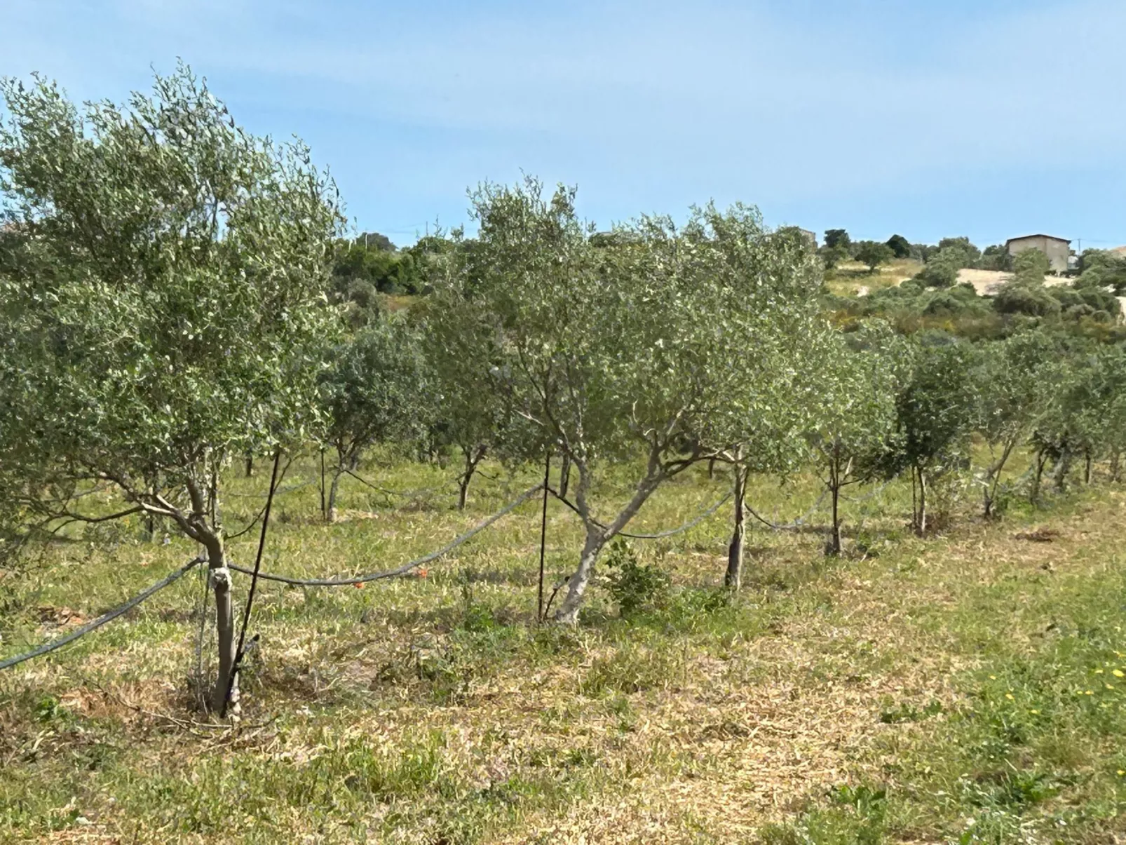 Landhaus Appartement Ulivo - Image-tags.info