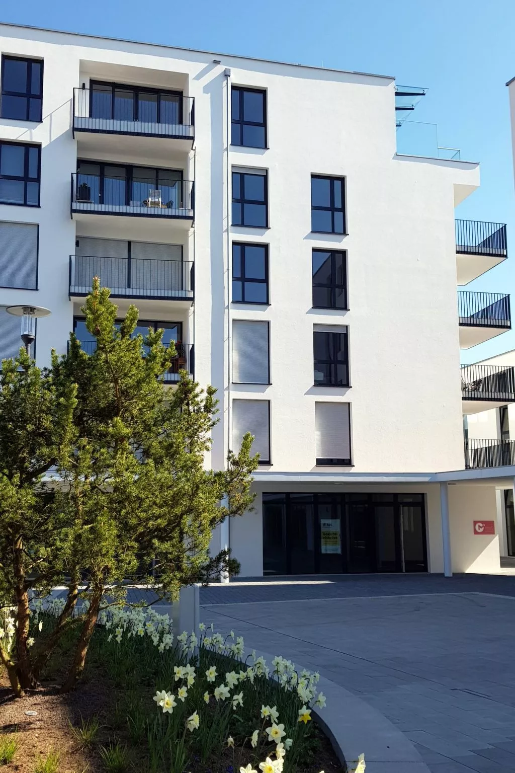 Pfänder - Image-tags.info