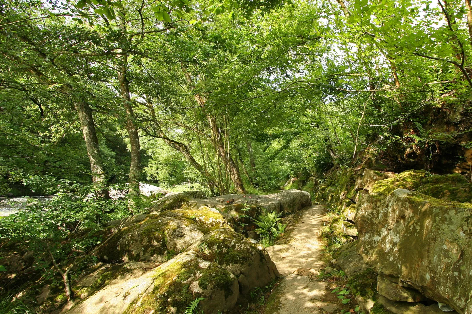 La Cabane de Jade - Gebieden zomer 5km