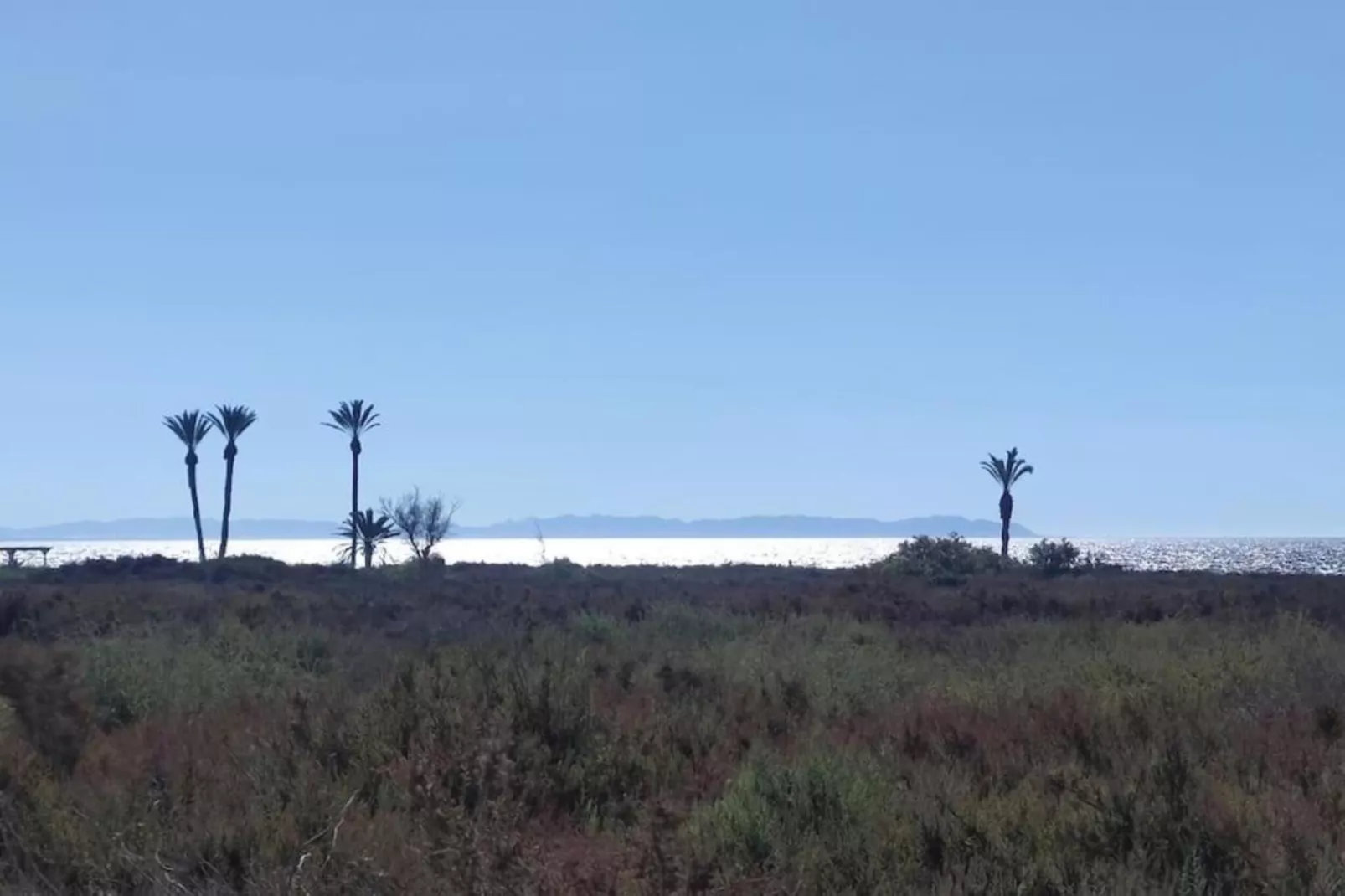 Moguima 2d-Gebieden zomer 1km