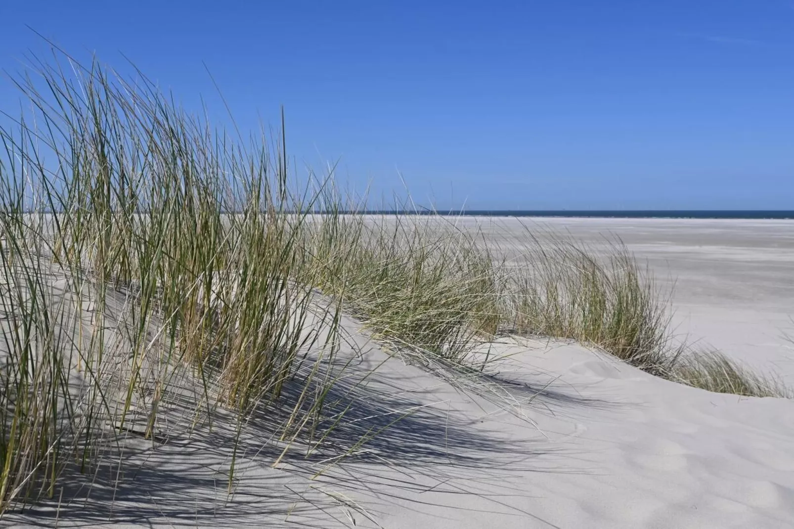 393474-Gebieden zomer 5km