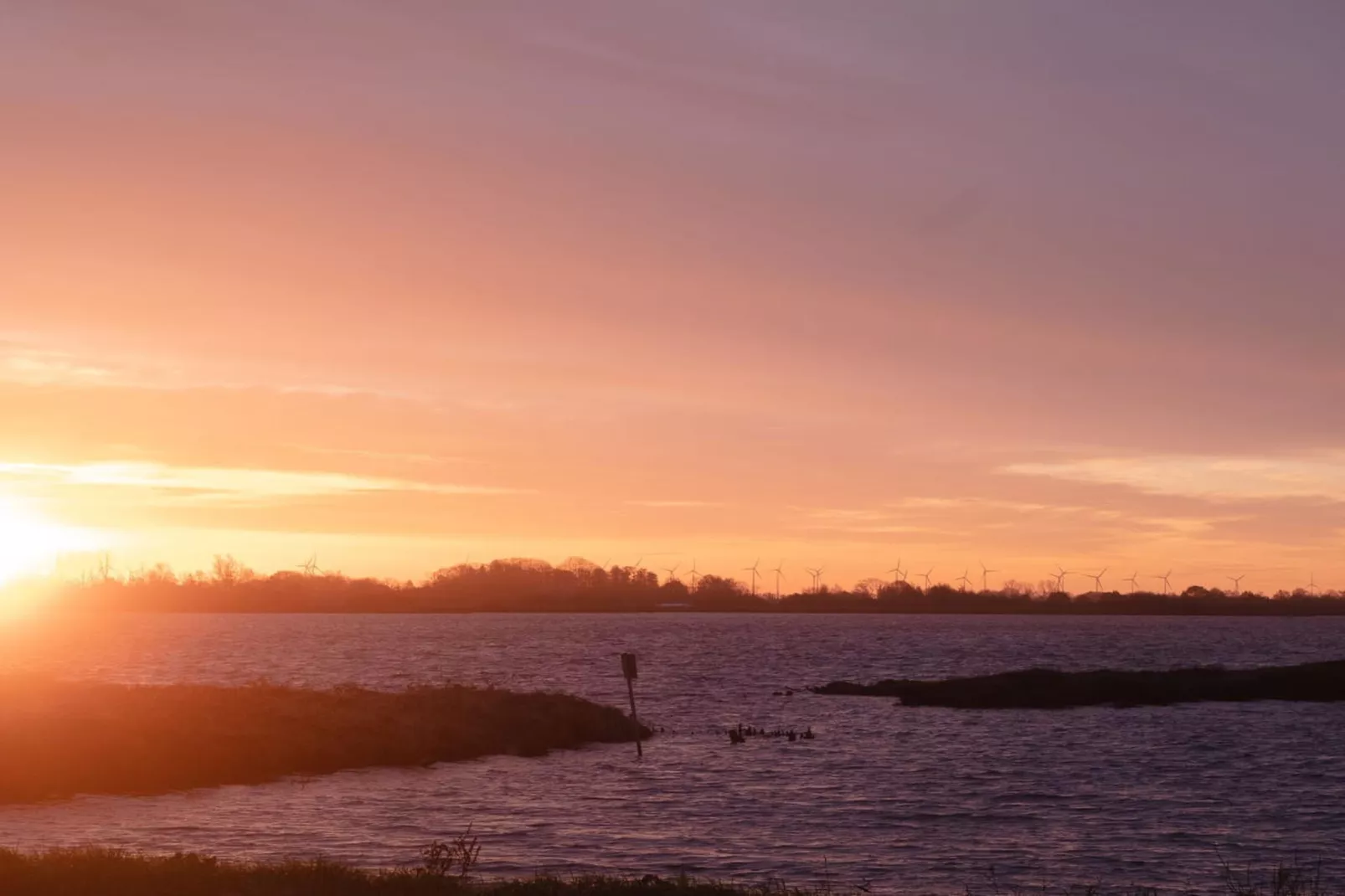 467005-Gebieden zomer 5km