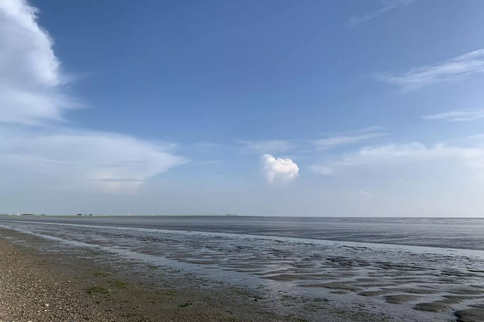 97432-Gebieden zomer 5km