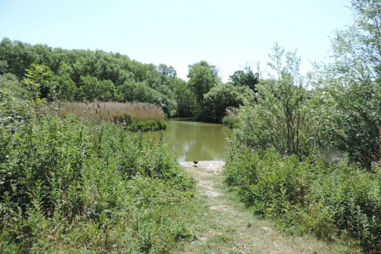 100809-Gebieden zomer 5km