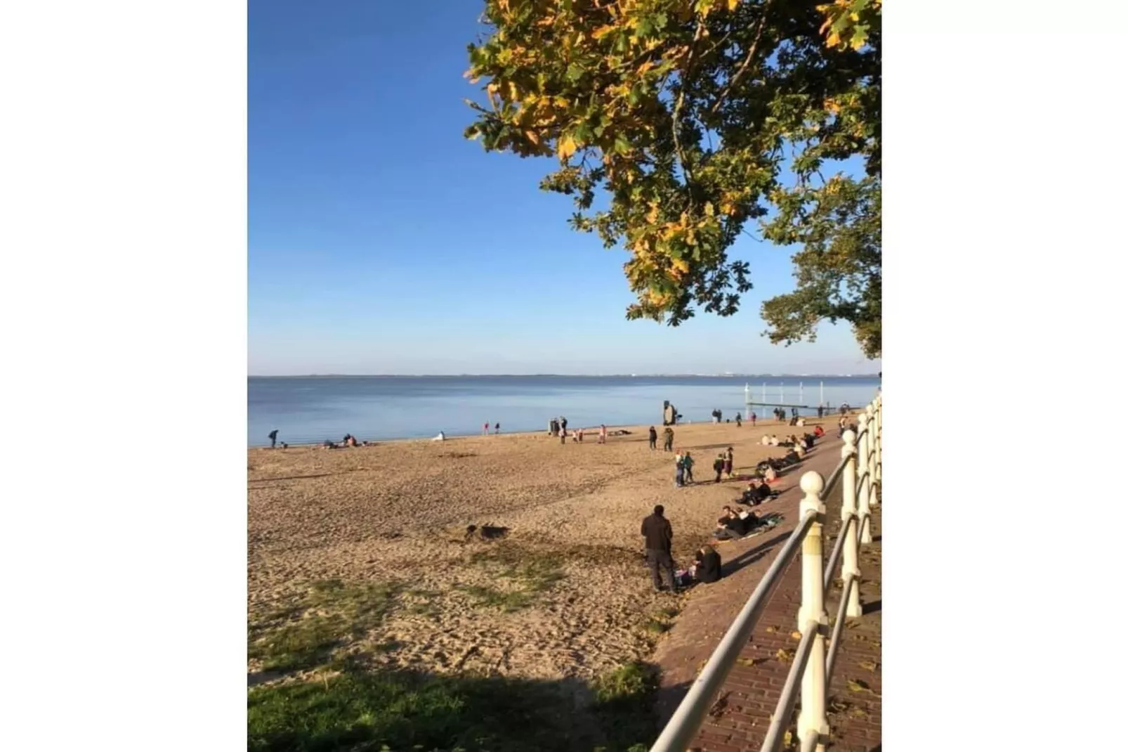 352708-Gebieden zomer 5km