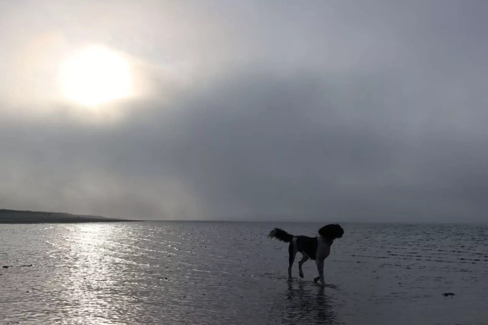 76469-Image-tags.water view