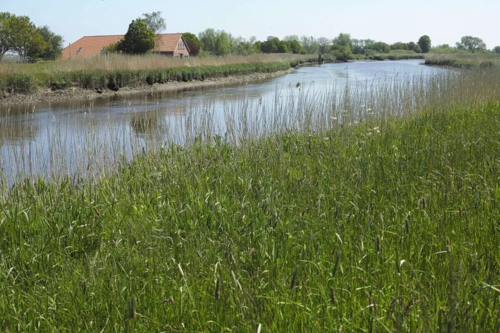 276301-Image-tags.water view