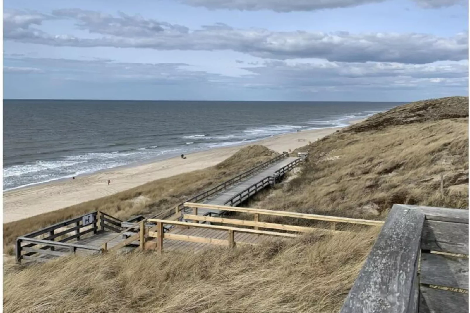 139423-Gebieden zomer 5km