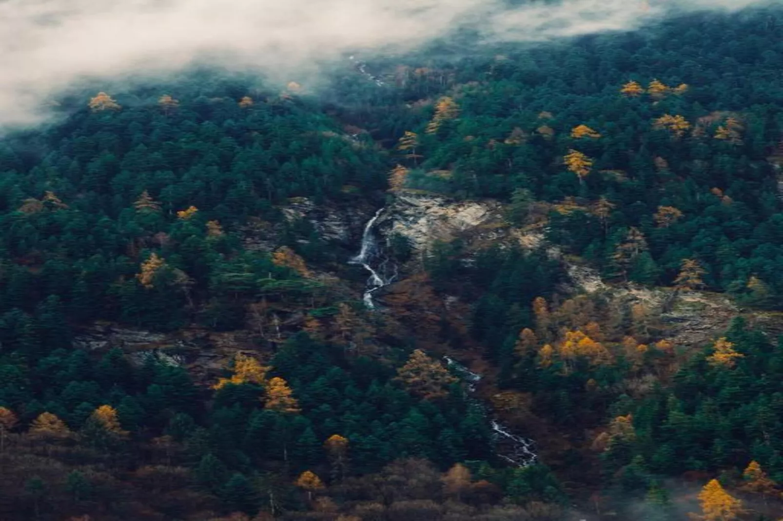 Hameau 5 201a - SPA & PISCINE studio 4 pers.-Gebieden zomer 5km