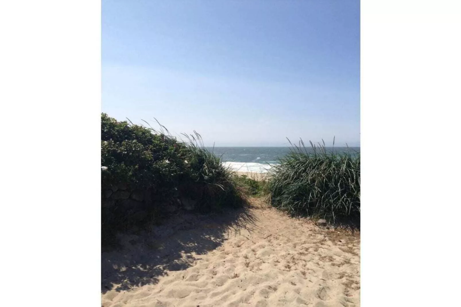 145755-Gebieden zomer 5km