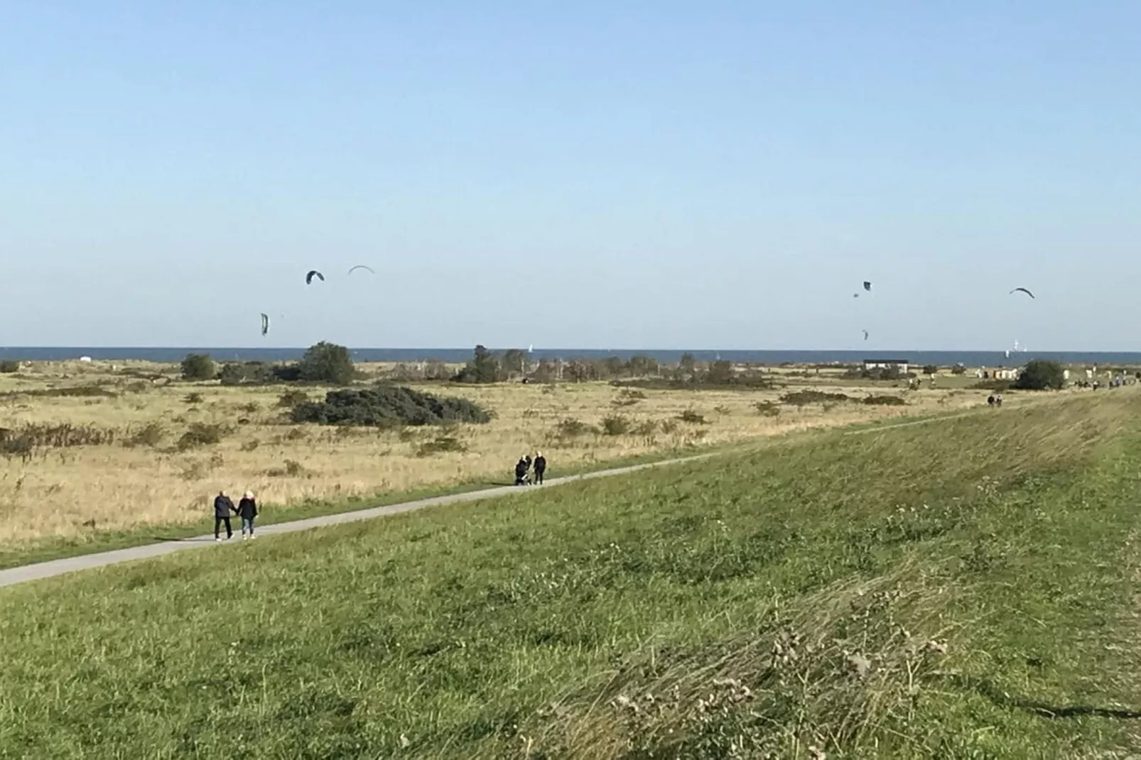 293990-Gebieden zomer 5km