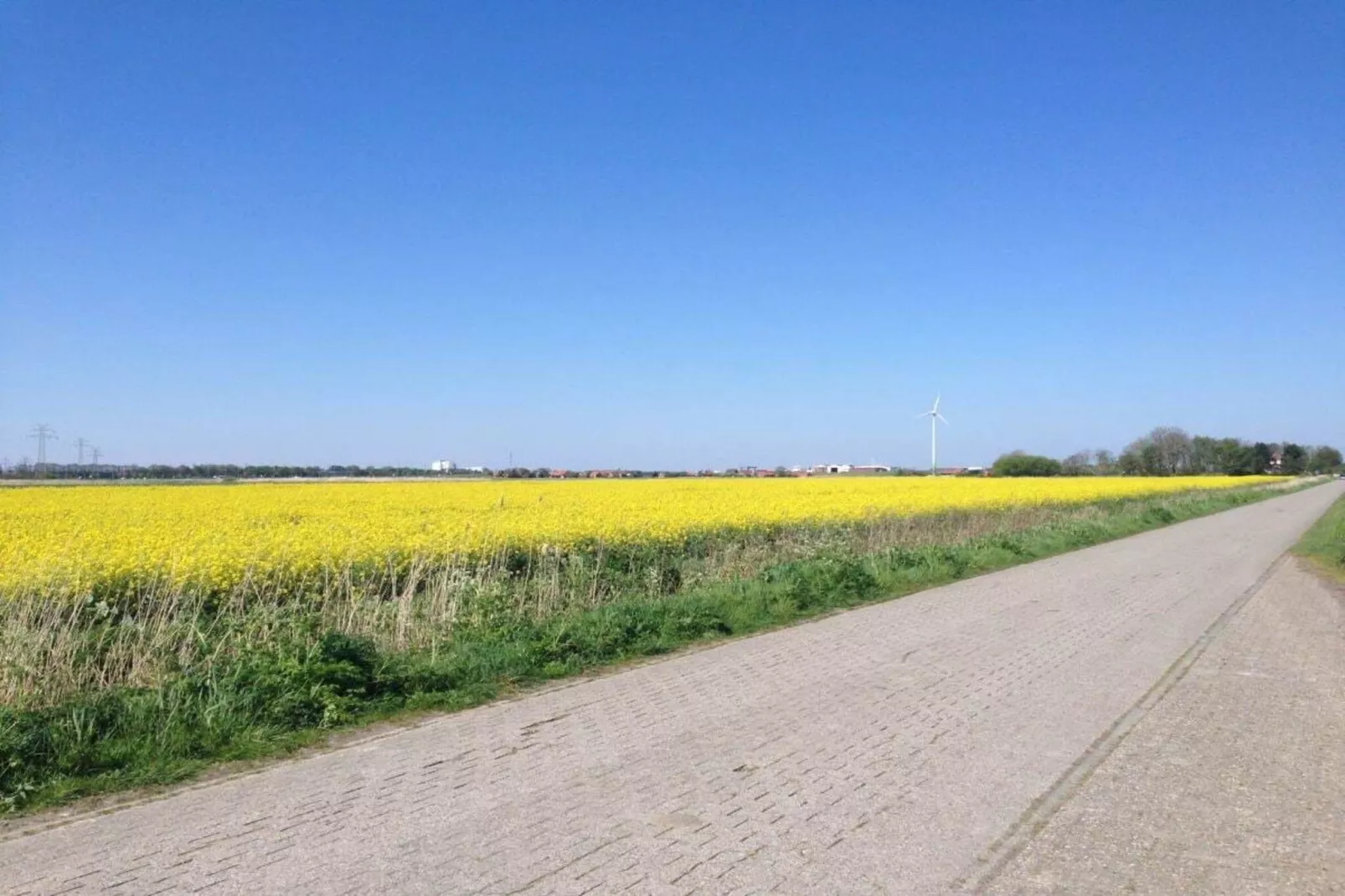 165895 - Gebieden zomer 5km