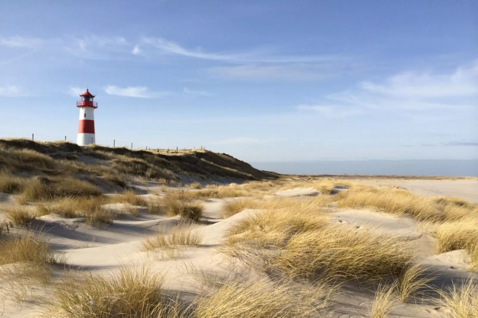 436061-Gebieden zomer 5km