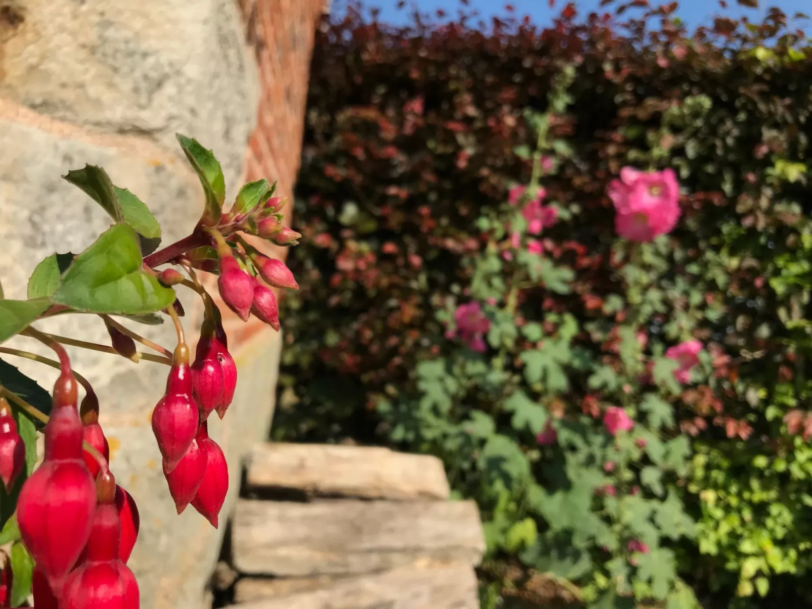 Unterkunft auf dem Bauernhof "La printanière" (Die Frühlingsfrau)-Buiten
