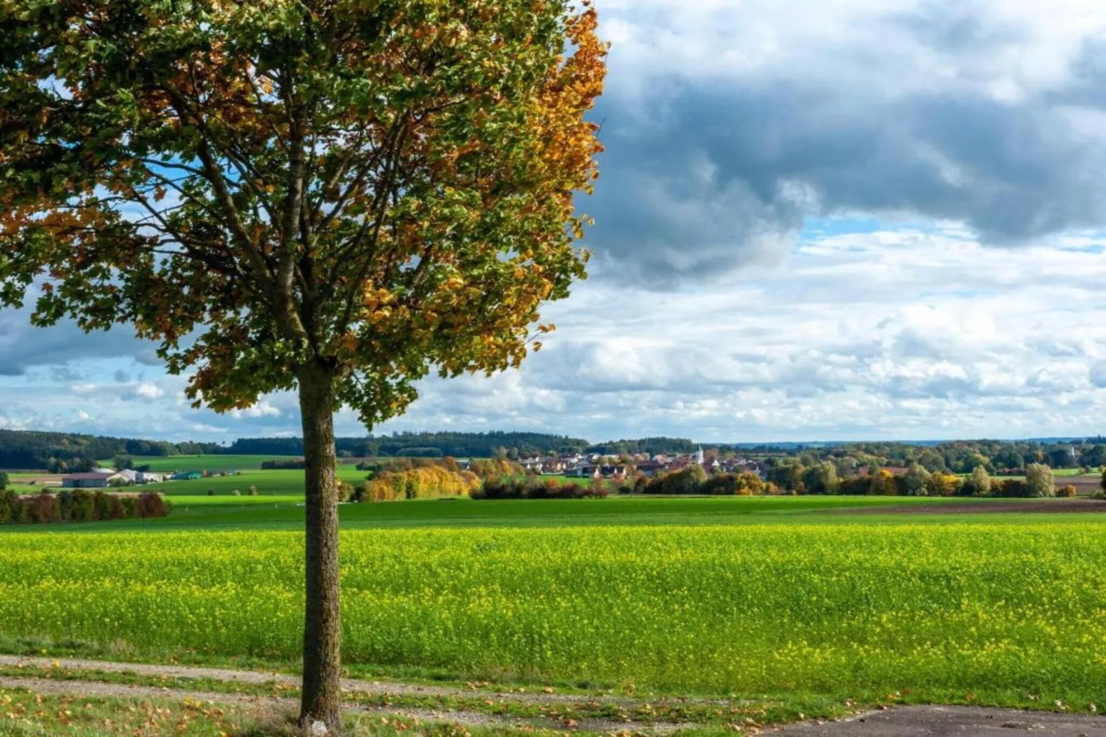 Ferienwohnung in Arrach bei Großer Arber-Gebieden zomer 1km