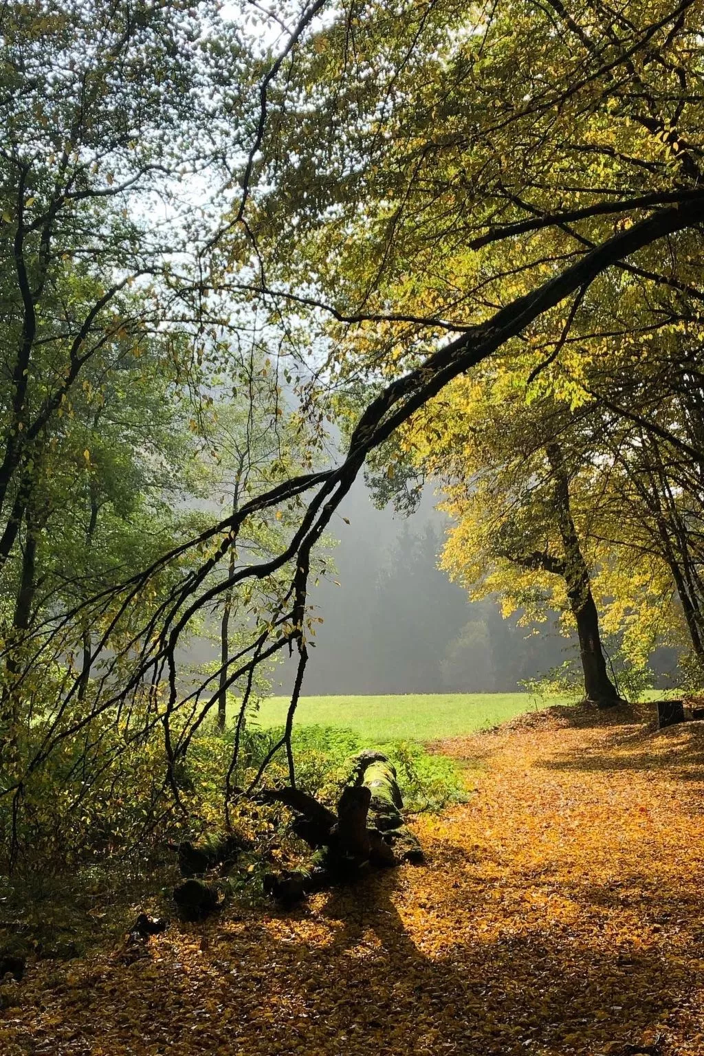 Urbane Remise - Image-tags.info