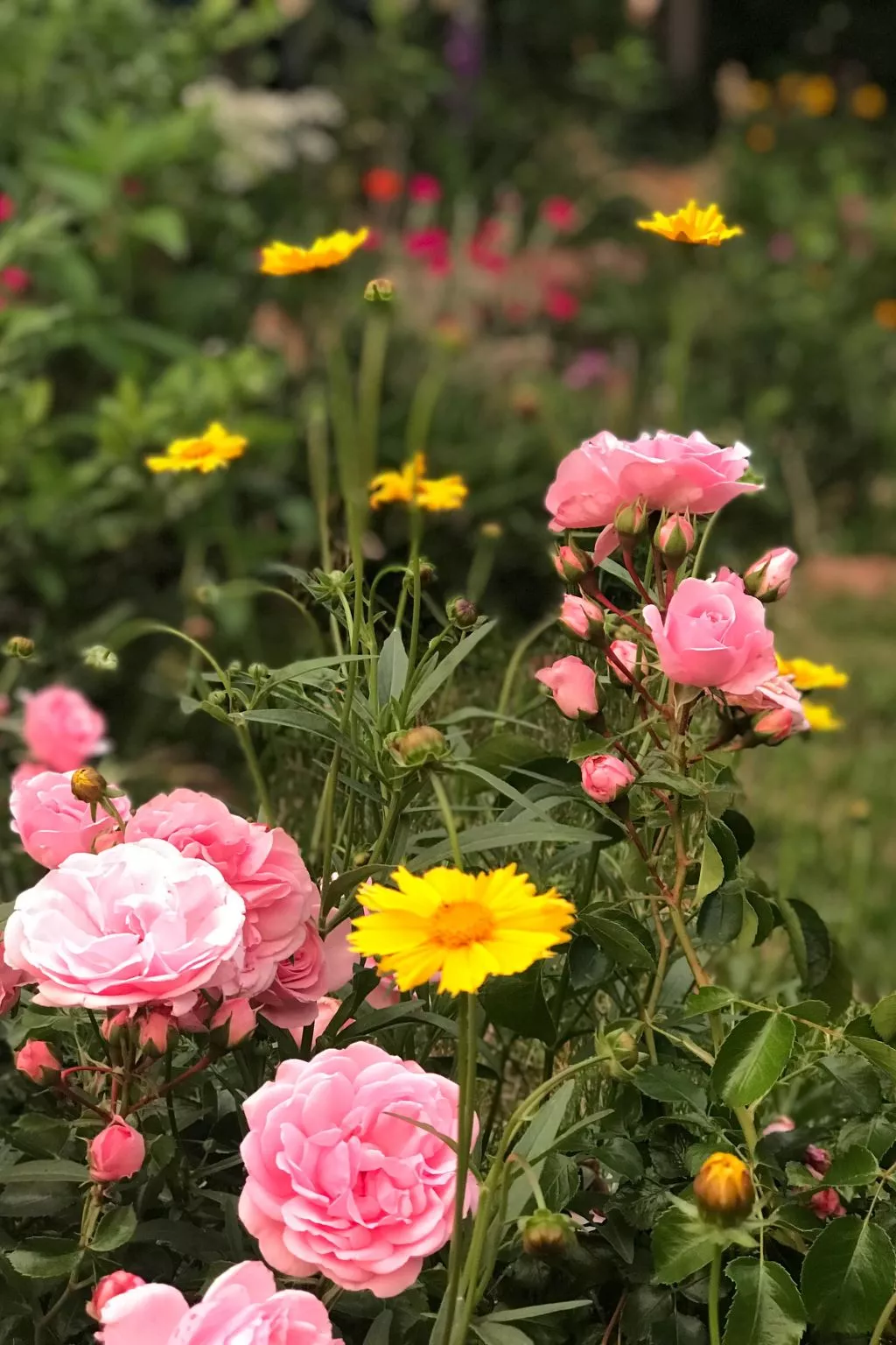 ApartmentmitAusblick - Image-tags.info