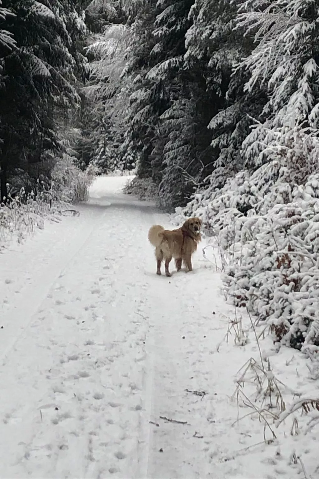 Emma - Image-tags.info