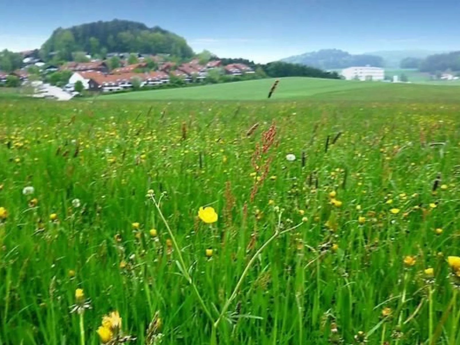 Appartement in Zandt mit Grill - Image-tags.info