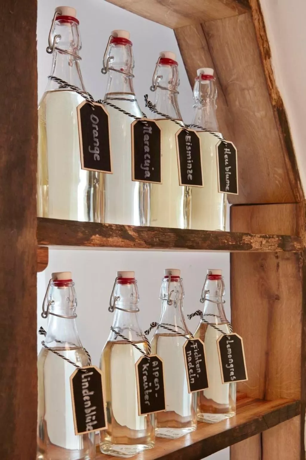 Olive Tree - Image-tags.info