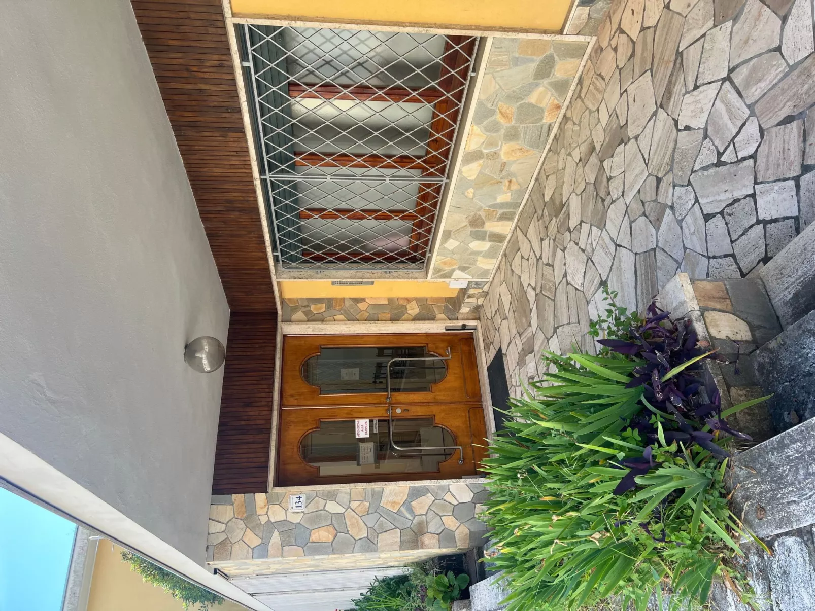 Pitosforo - Image-tags.info