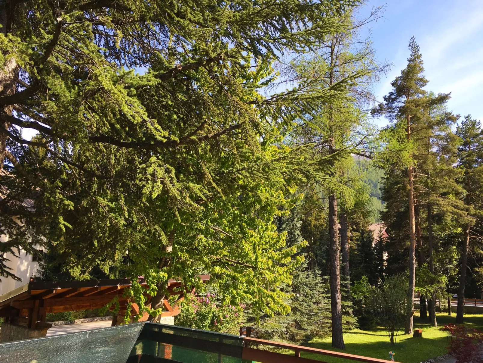 'San Francesco - Image-tags.info