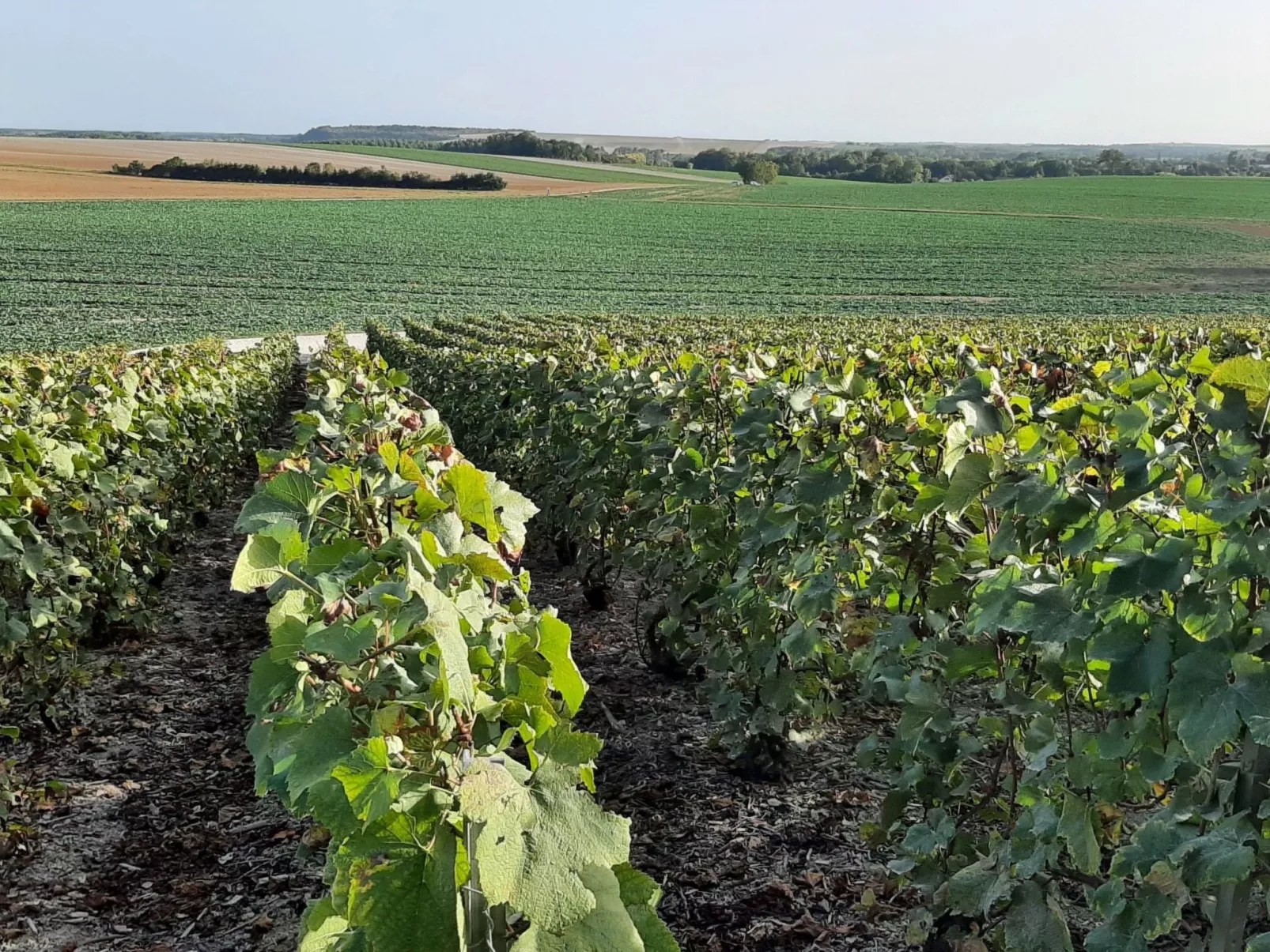 Fachwerkhaus "Charme - Image-tags.info