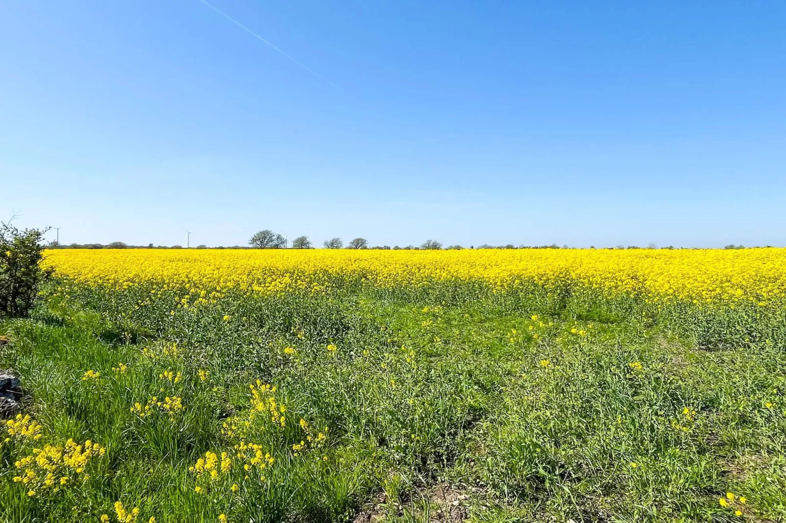 4 Personen vakantie huis in Mörbylånga - Niet-getagd