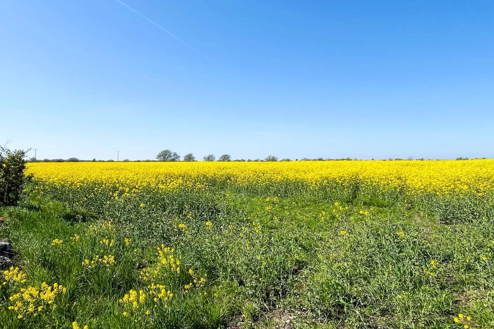 Vakantiehuis in Mörbylånga - Niet-getagd
