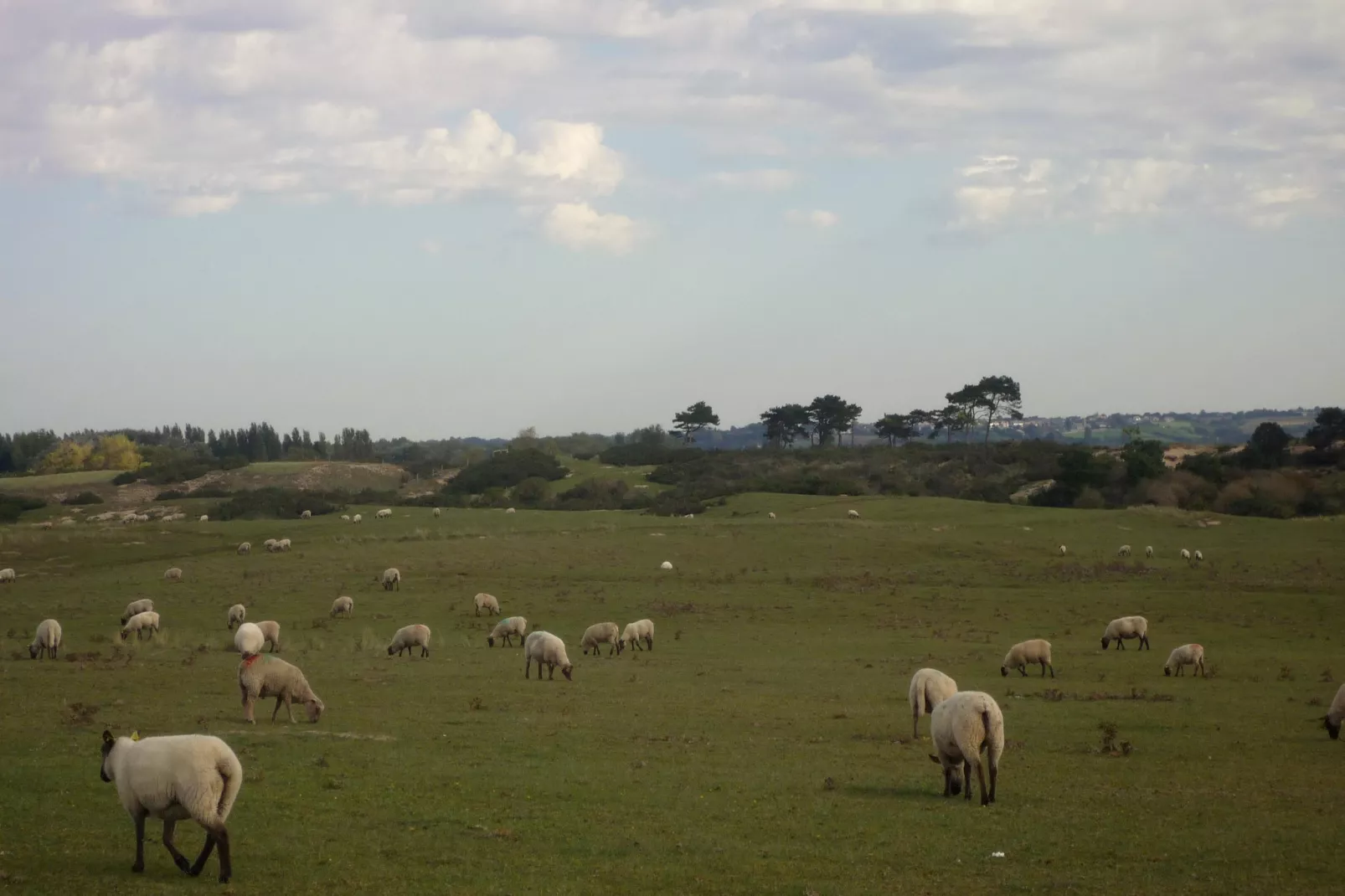 Studio au 1er étage - Gebieden zomer 5km
