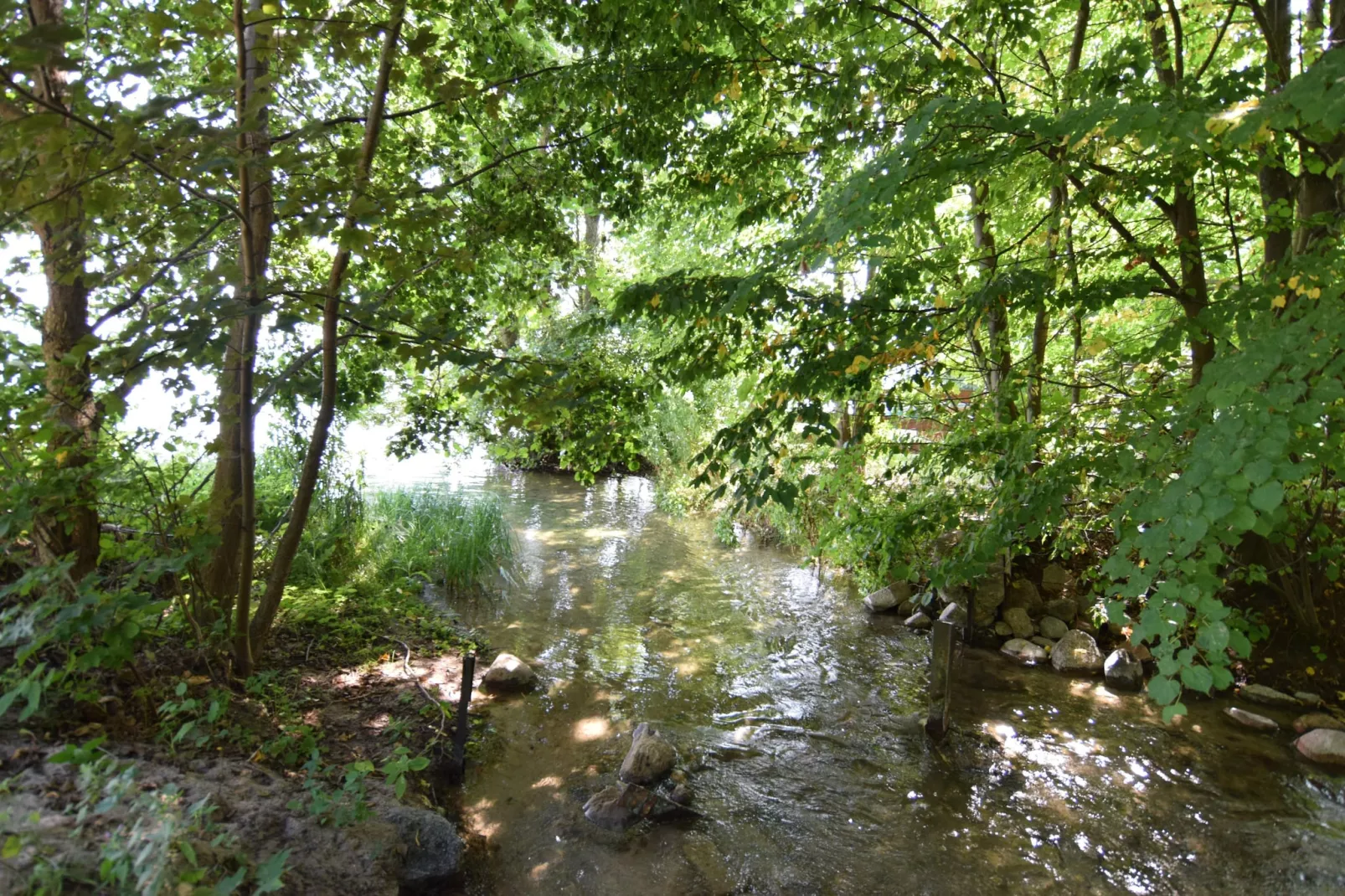 Dom wakacyjny z sauną we Frydrychowie-Gebieden zomer 1km