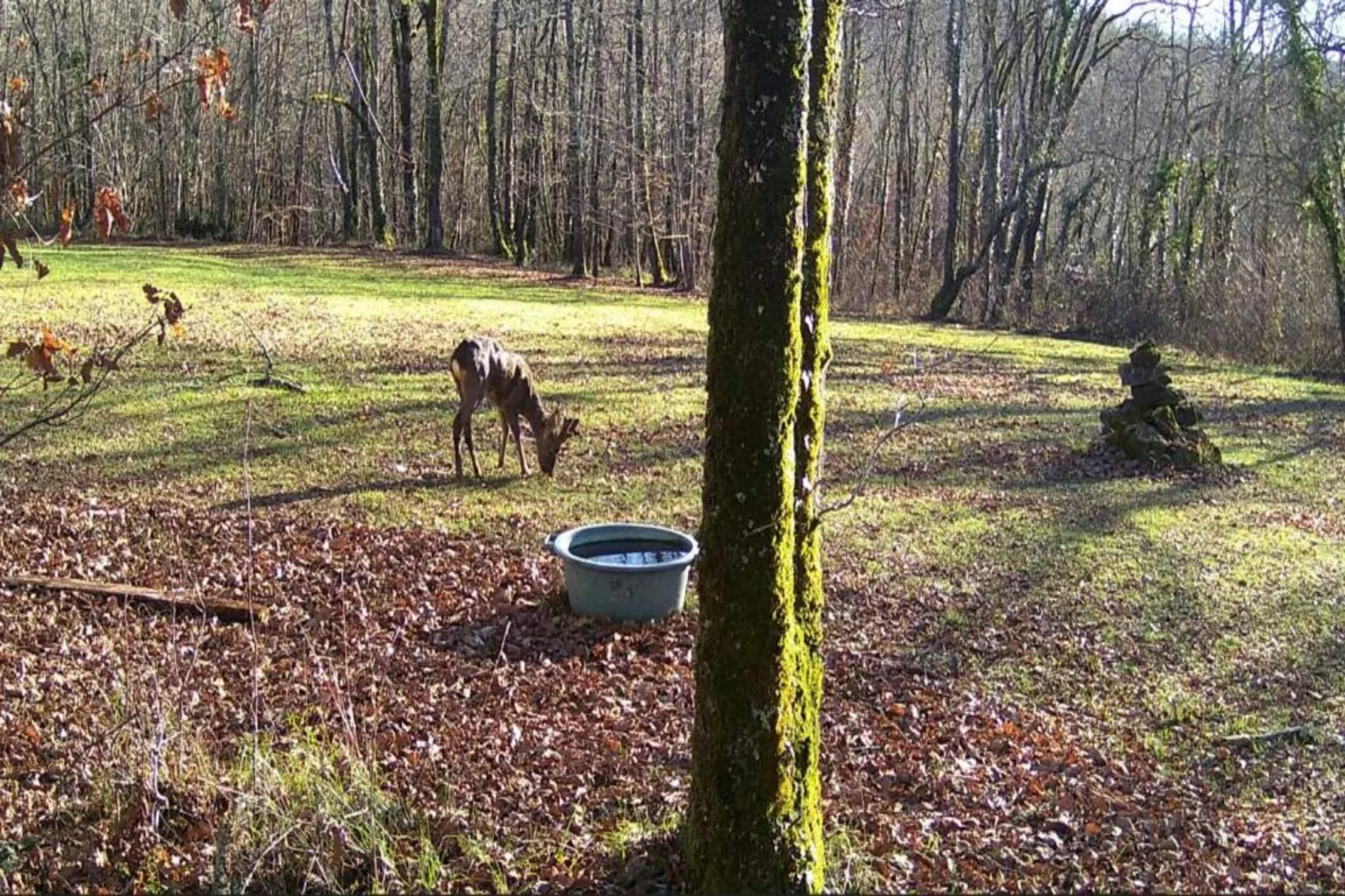 Domaine de Gavaudun - Maison Guyenne-Gebieden zomer 5km