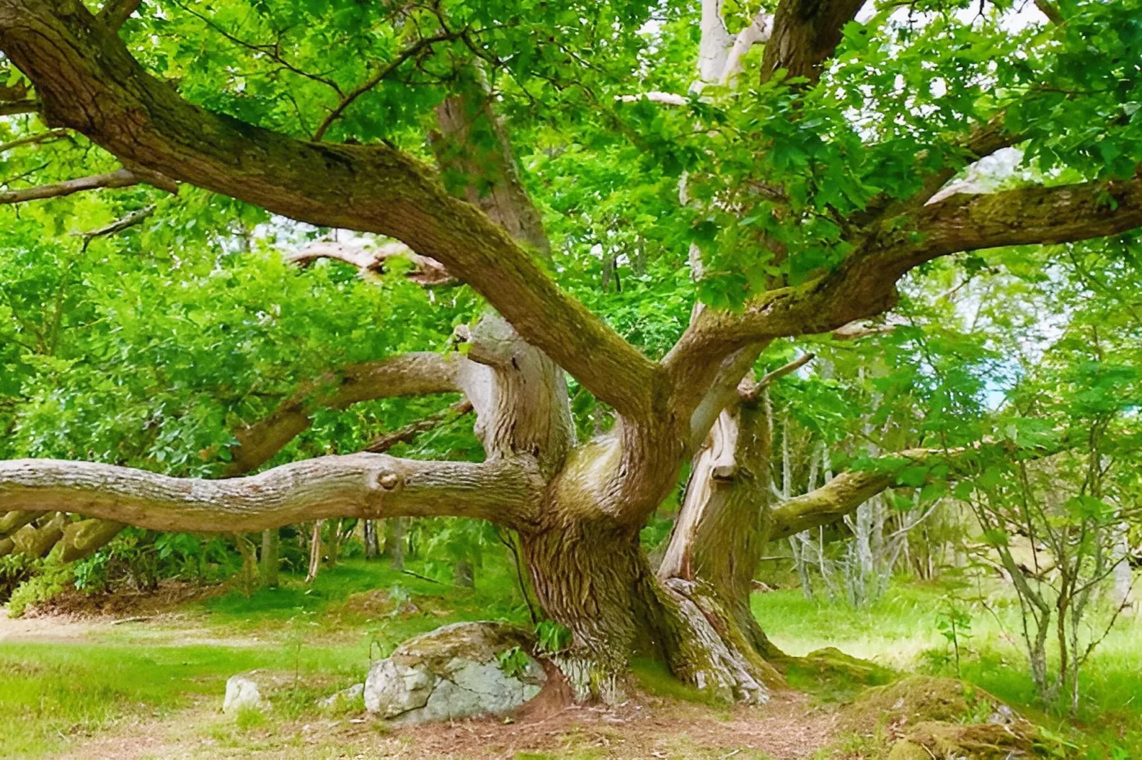 4 sterren vakantie huis in RONNEBY-By Traum-Niet-getagd