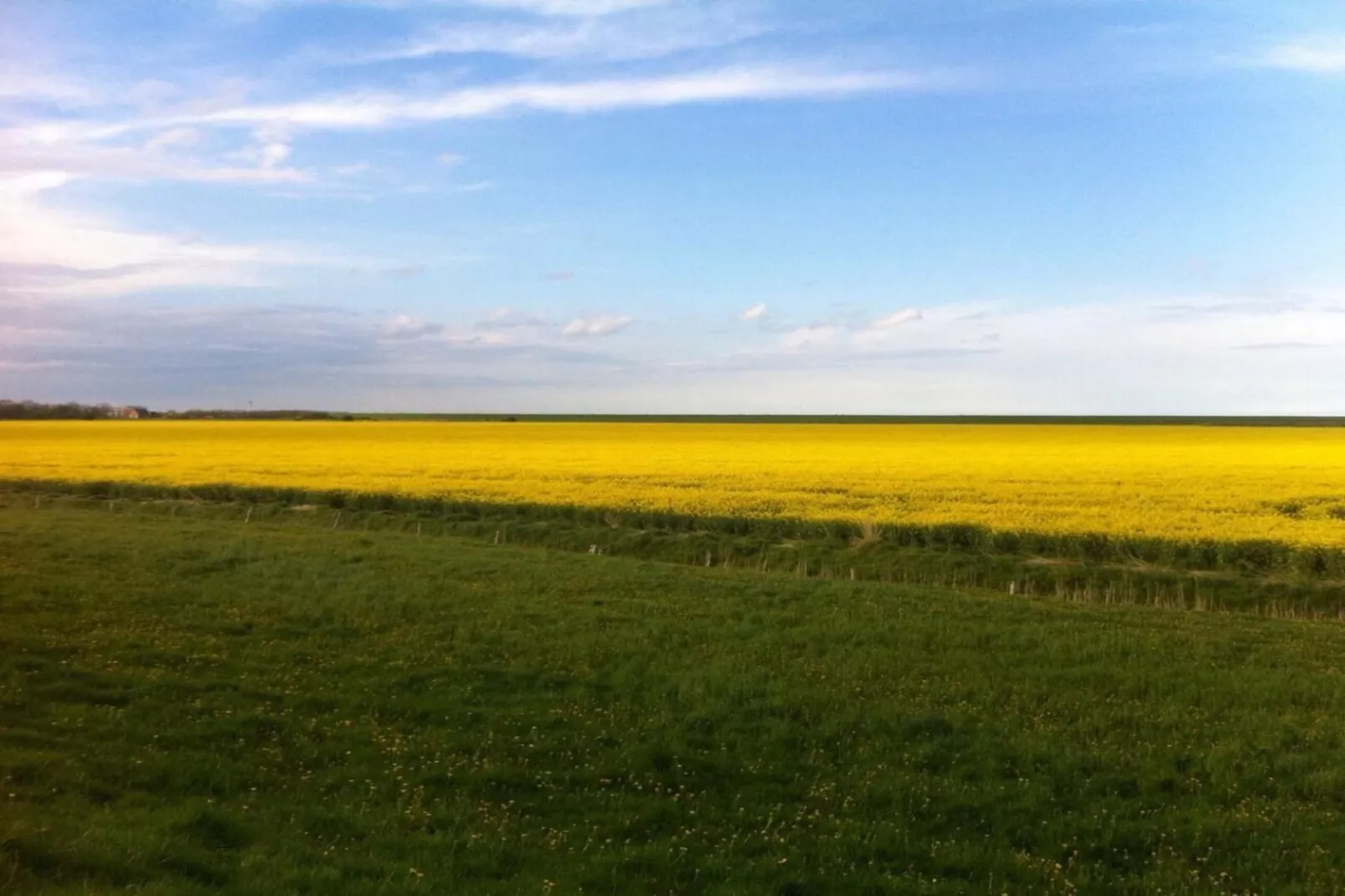 112041-Gebieden zomer 5km
