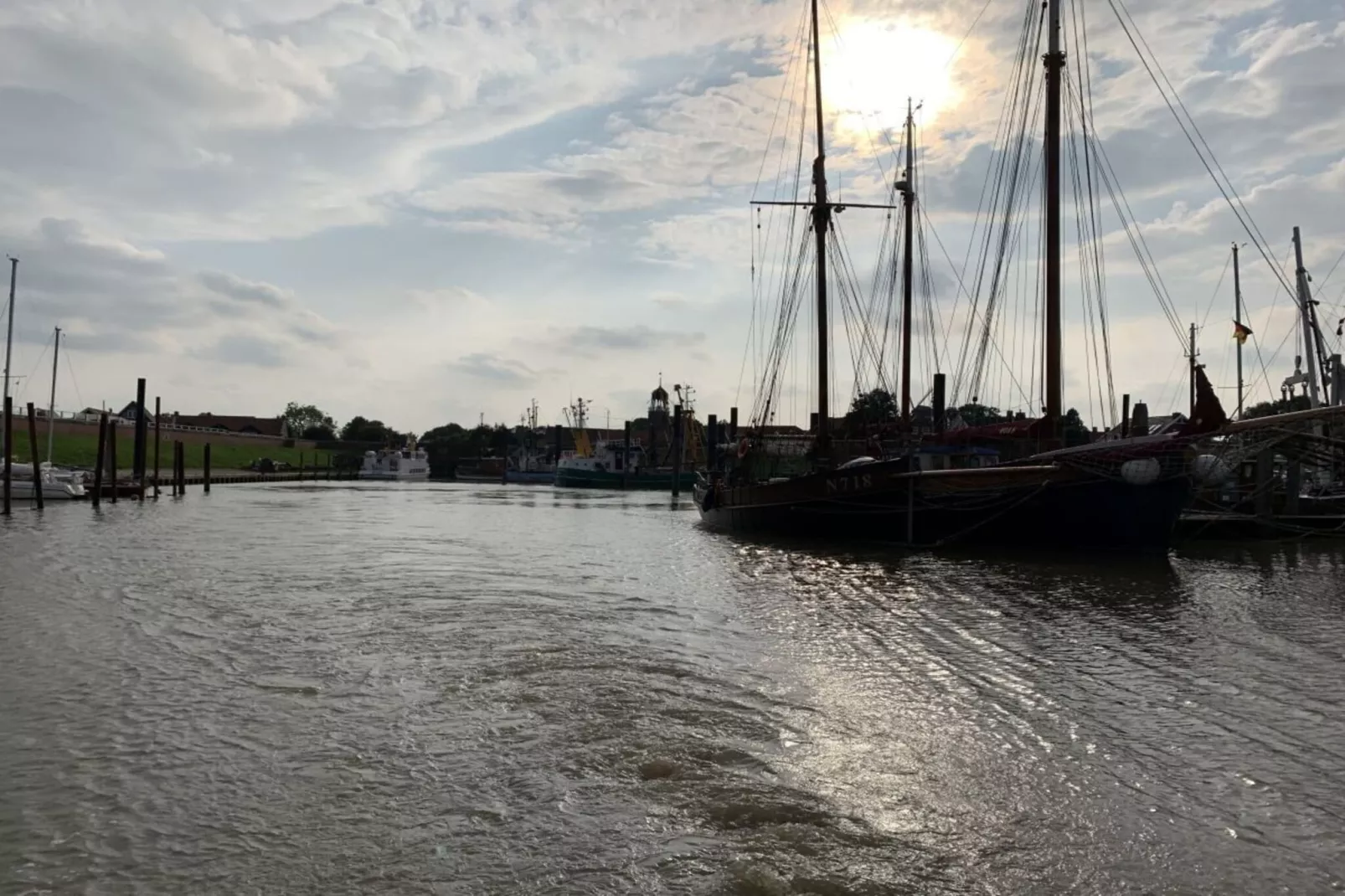 297205-Gebieden zomer 1km