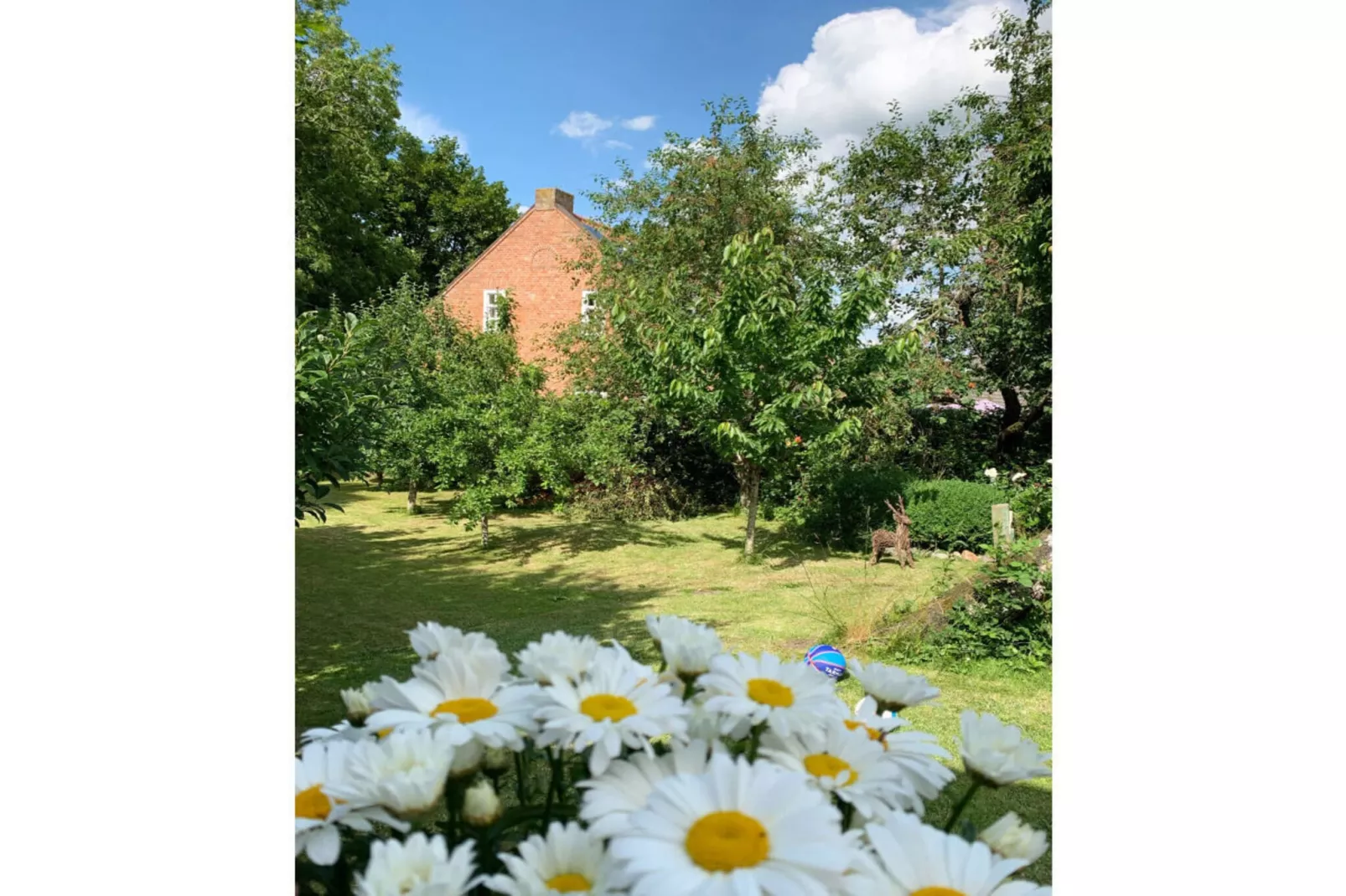 394110 - Buitenkant zomer