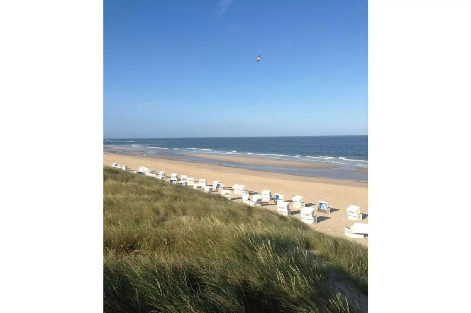 145755-Gebieden zomer 5km