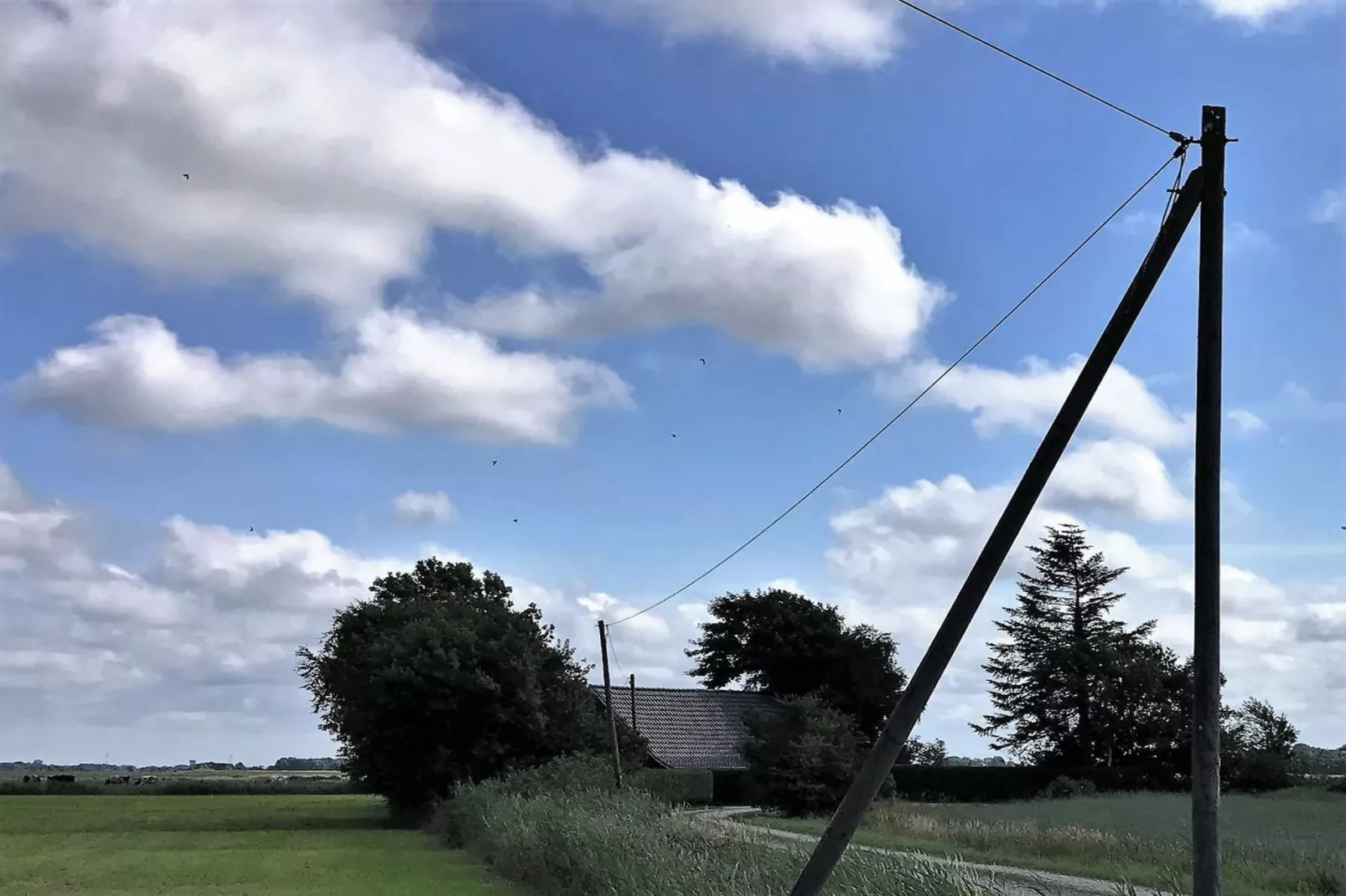 89709-Gebieden zomer 5km