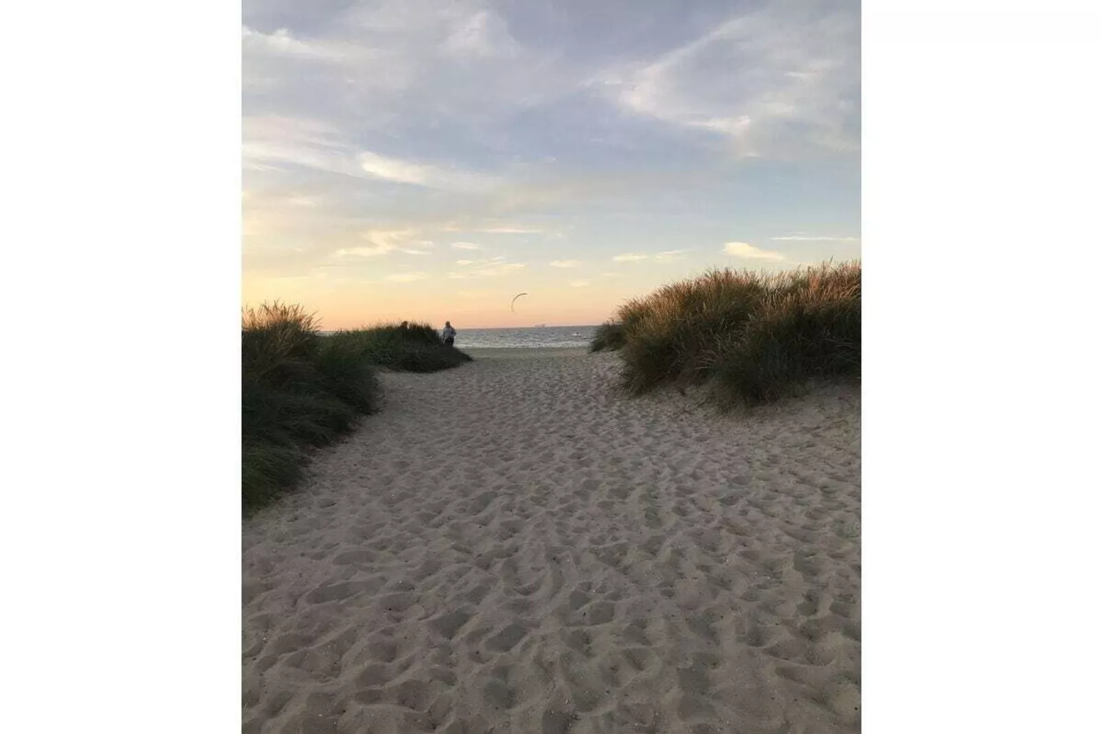 293990-Gebieden zomer 5km