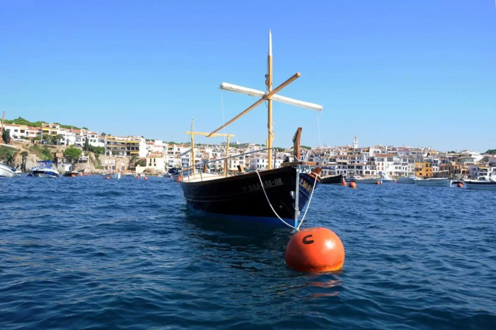 Sarrio-Gebieden zomer 20km
