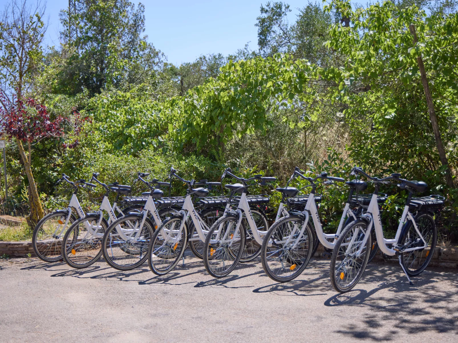 Costa D'Argento-Binnen