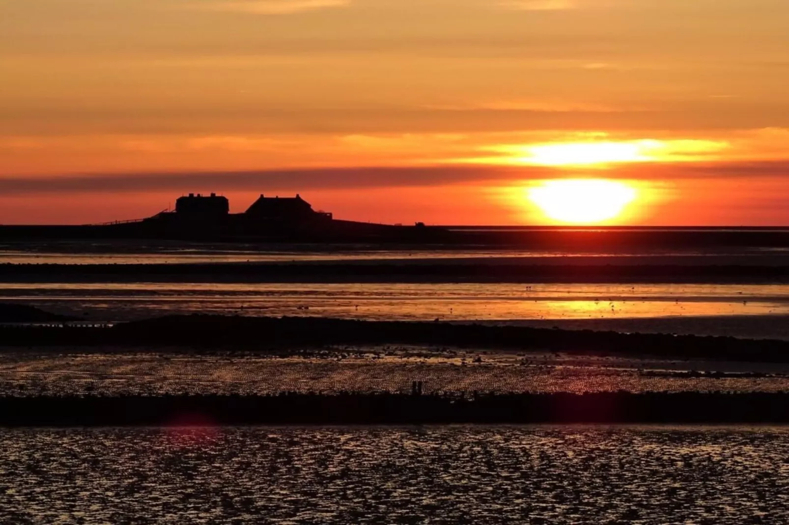 128858-Gebieden zomer 5km
